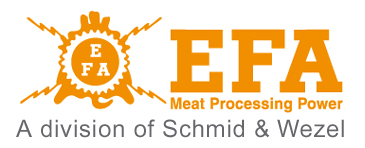 logo-efa